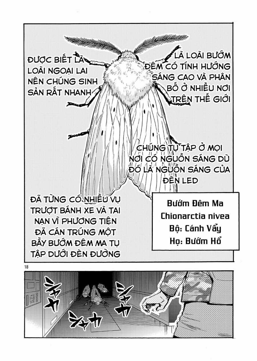 Siêu Đảo Côn Trùng - Chapter 49.5 - Trang 20