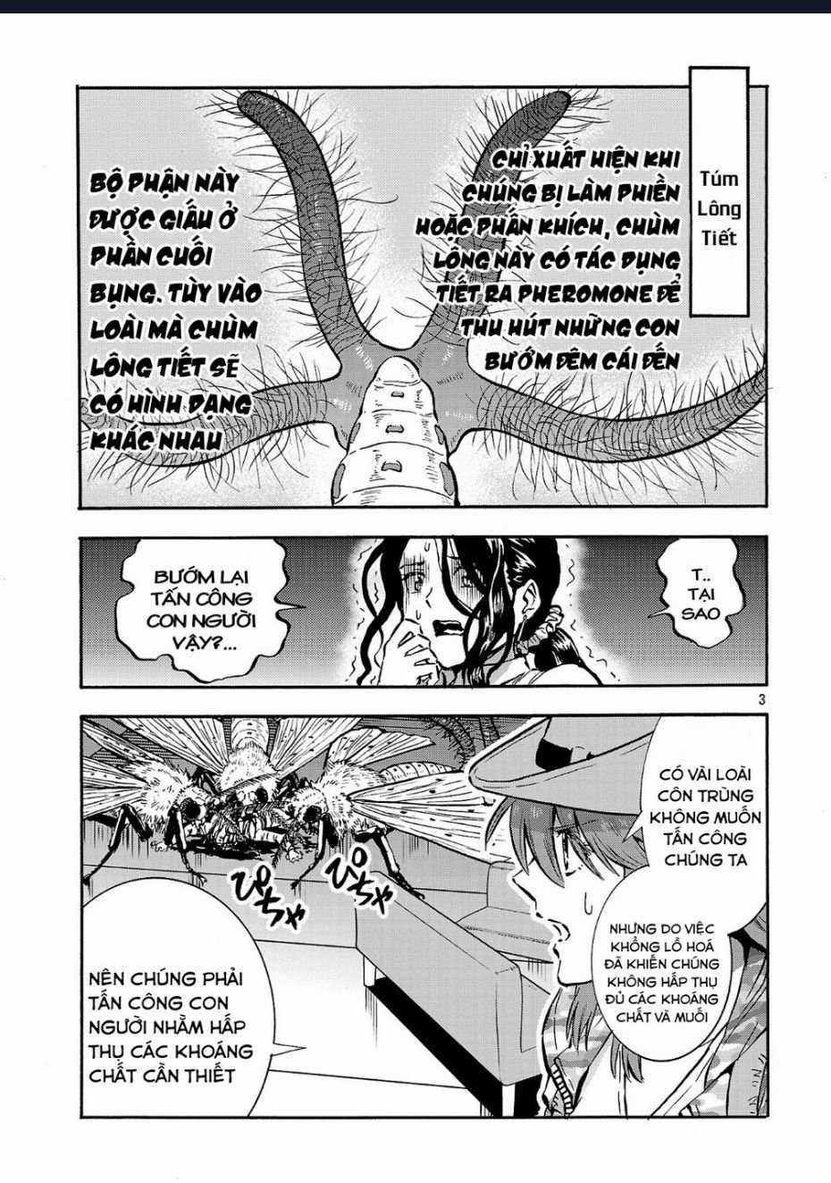Siêu Đảo Côn Trùng - Chapter 50.5 - Trang 5