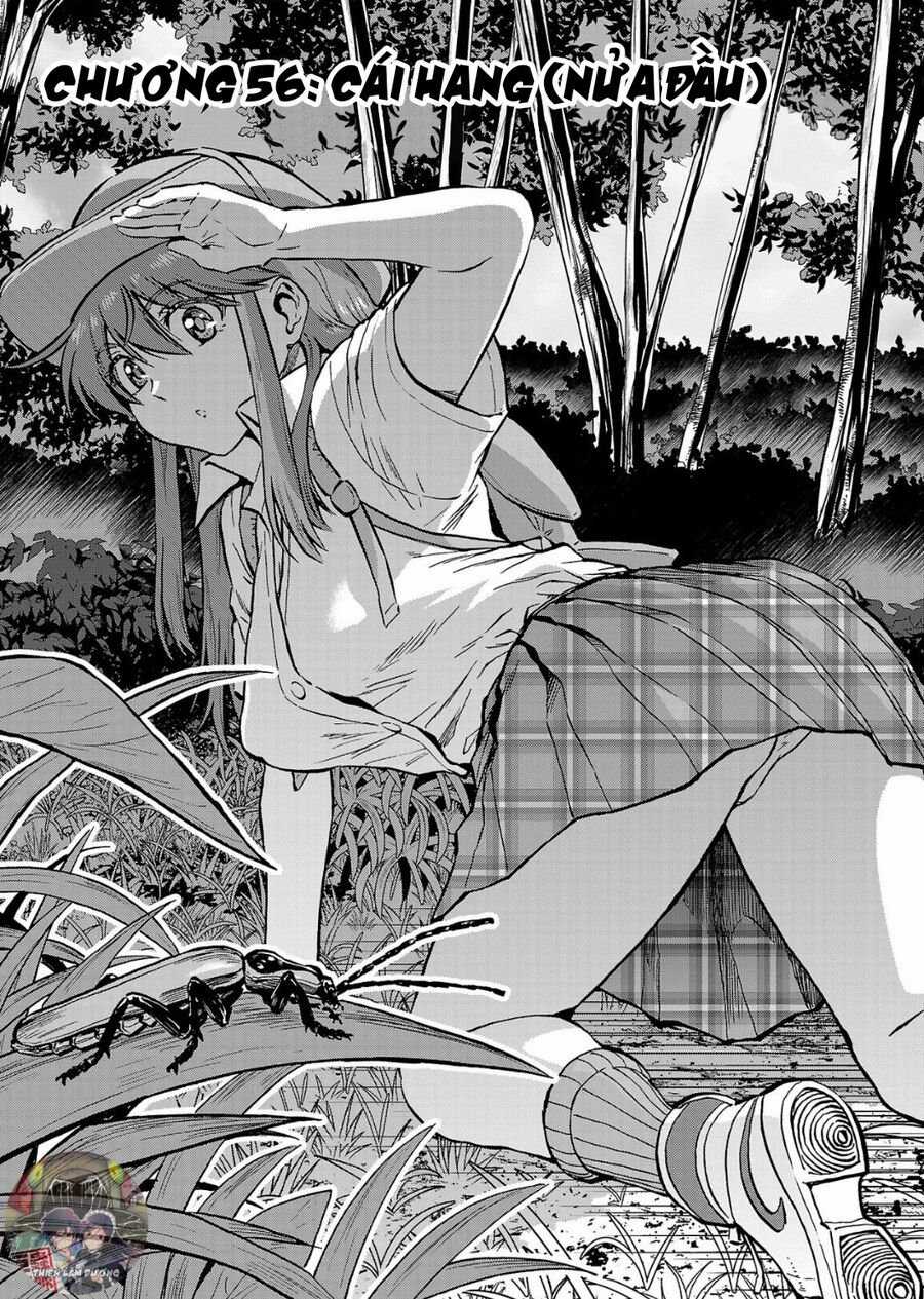 Siêu Đảo Côn Trùng - Chapter 56 - Trang 3