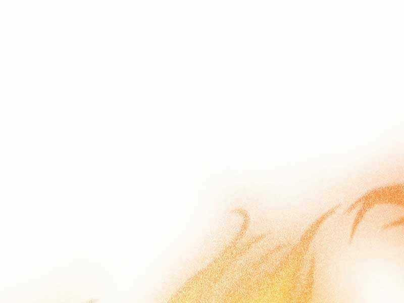 Siêu May Mắn - Chapter 24 - Trang 219