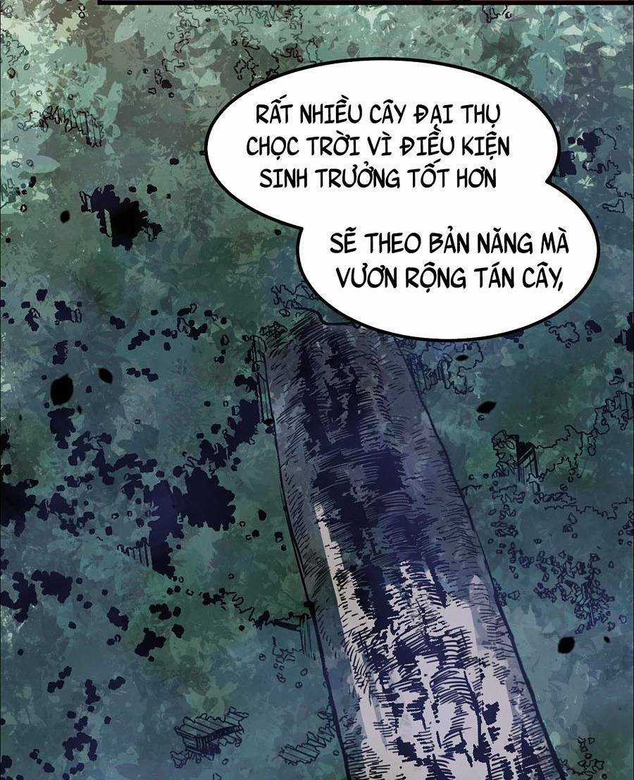 Siêu Phàm Tiến Hóa - Chapter 75 - Trang 67