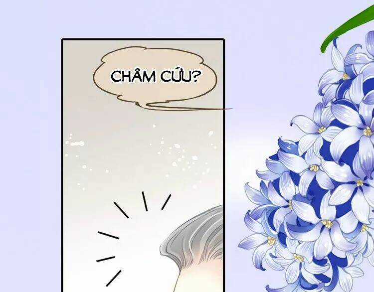 Siêu Sao Trứ Danh - Chapter 64 - Trang 36