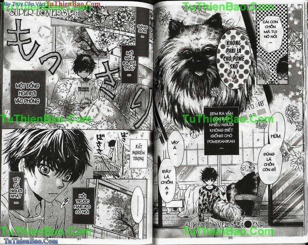 Siêu Tình Yêu - Supper Lovers - Chapter 2 - Trang 49