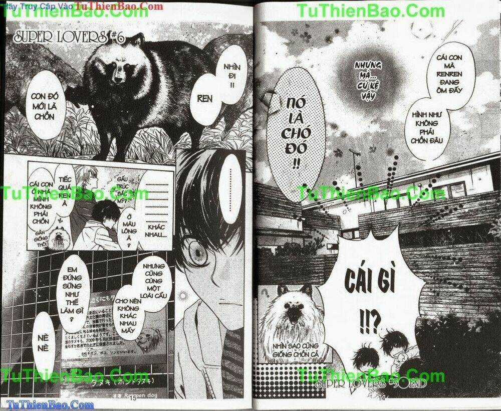 Siêu Tình Yêu - Supper Lovers - Chapter 3 - Trang 8