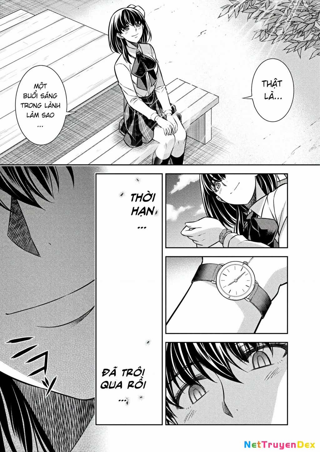 Silver Plan To Redo From Jk - Chapter 25 - Trang 11