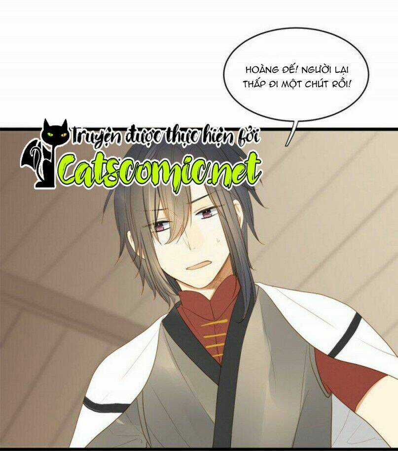 Sinh Hạ Long Chủng - Chapter 1 - Trang 17