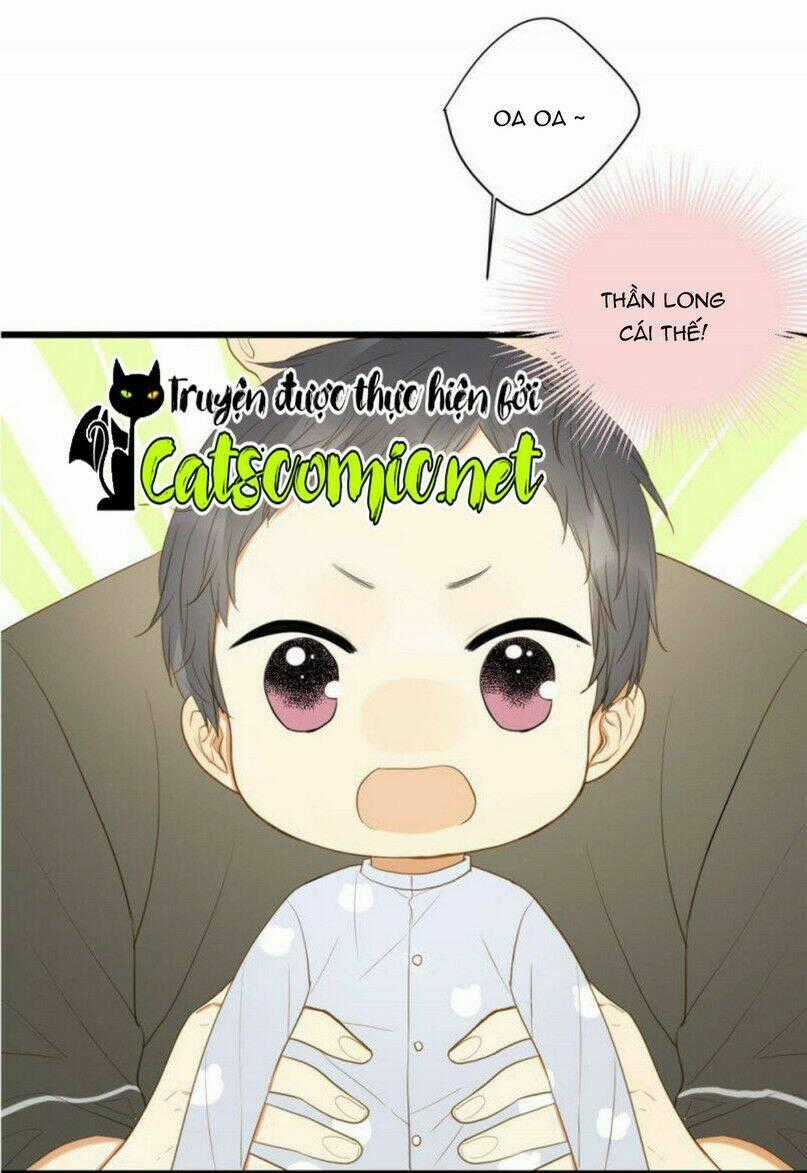 Sinh Hạ Long Chủng - Chapter 1 - Trang 37