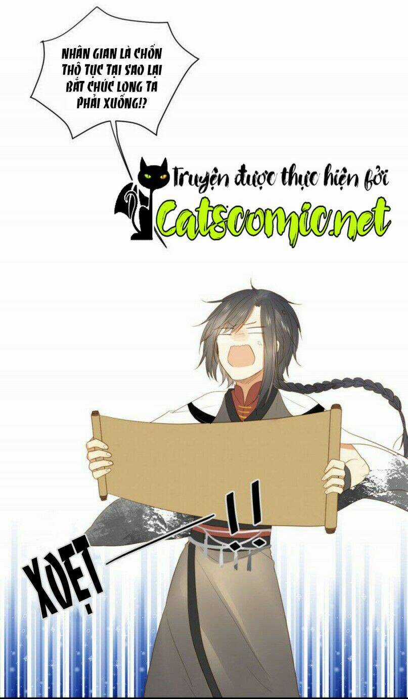 Sinh Hạ Long Chủng - Chapter 1 - Trang 8