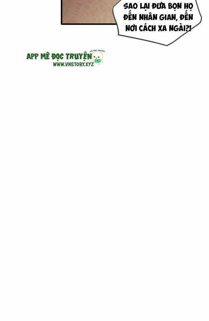 Sinh Hạ Long Chủng - Chapter 126 - Trang 16