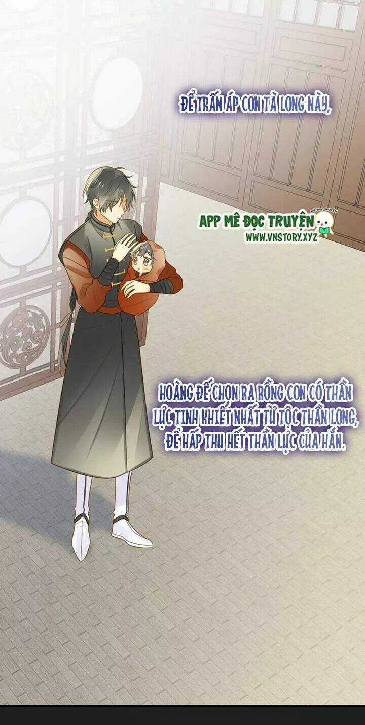 Sinh Hạ Long Chủng - Chapter 141 - Trang 5