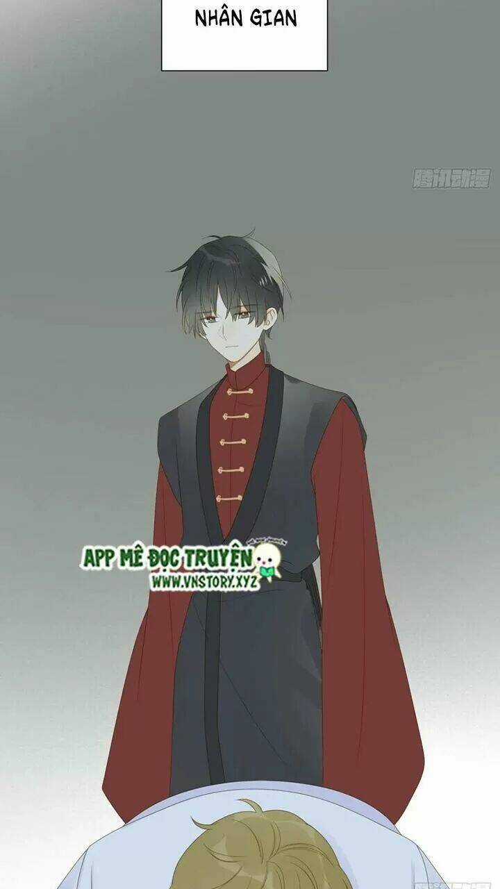 Sinh Hạ Long Chủng - Chapter 176 - Trang 3