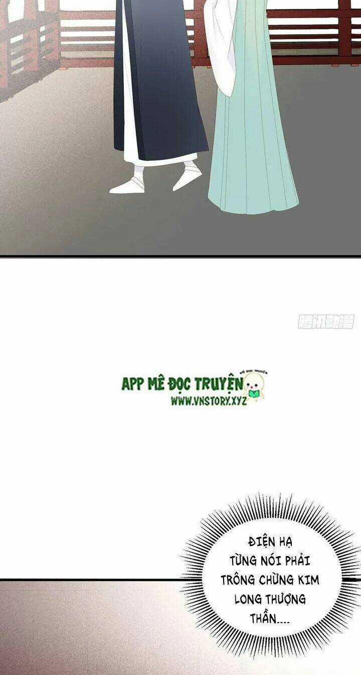 Sinh Hạ Long Chủng - Chapter 184 - Trang 36