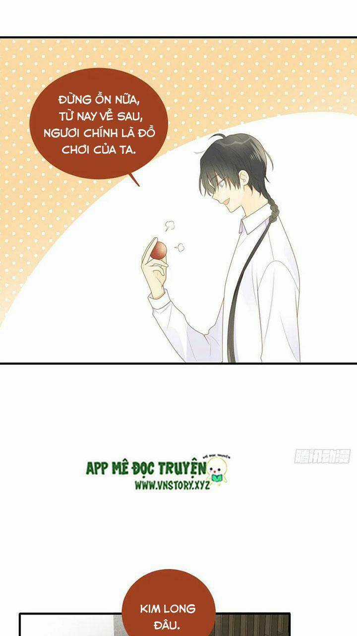 Sinh Hạ Long Chủng - Chapter 187 - Trang 24