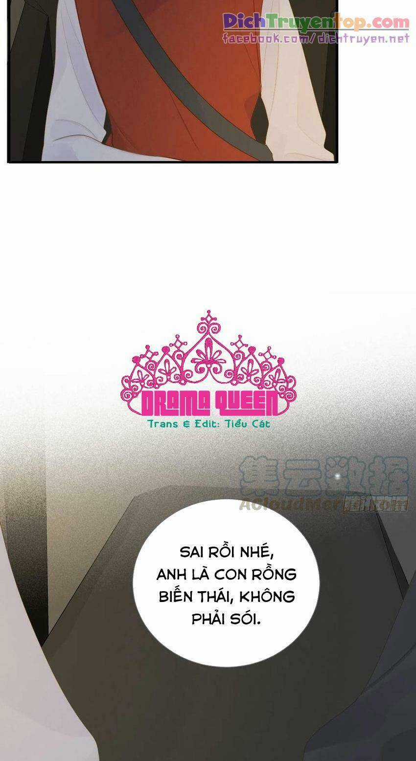 Sinh Hạ Long Chủng - Chapter 212 - Trang 39