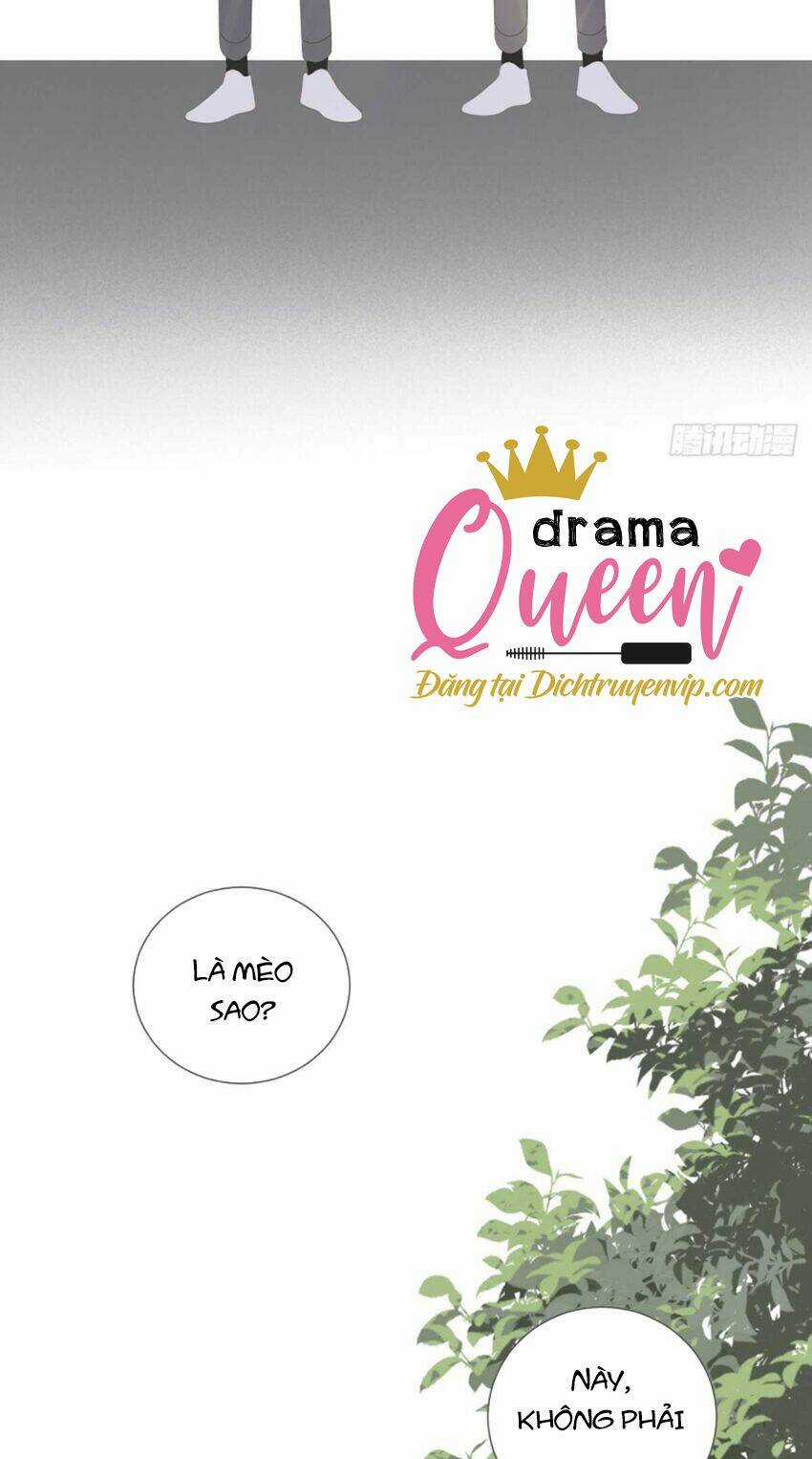 Sinh Hạ Long Chủng - Chapter 215 - Trang 47