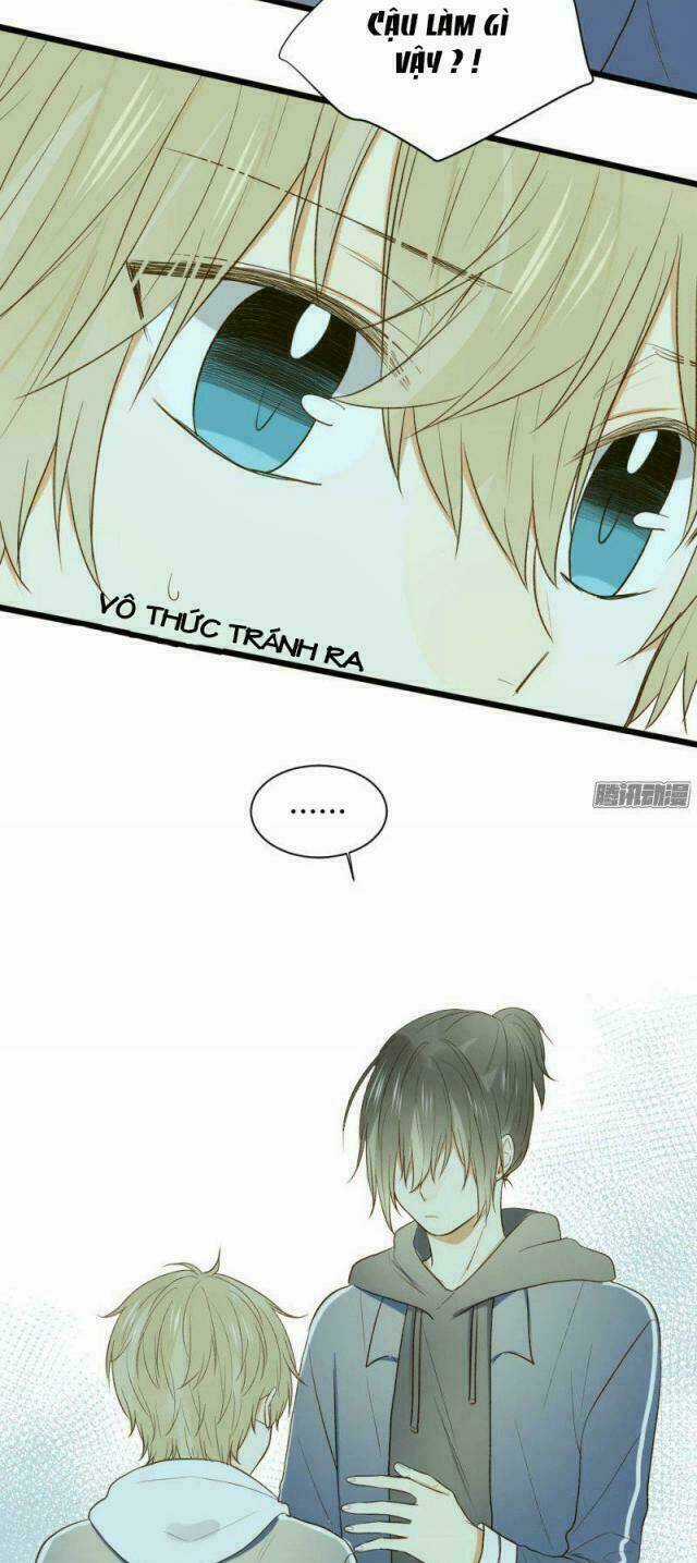 Sinh Hạ Long Chủng - Chapter 29 - Trang 19