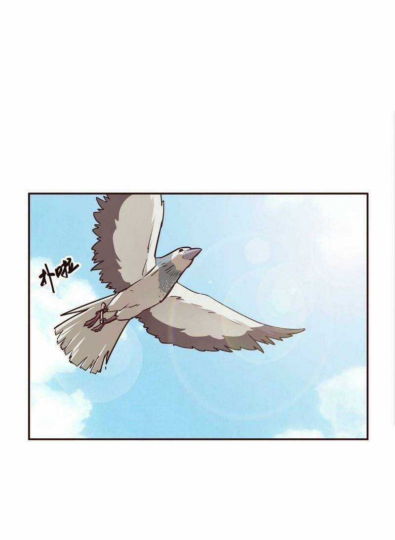 Sinh Tử Quyết - Chapter 14 - Trang 13