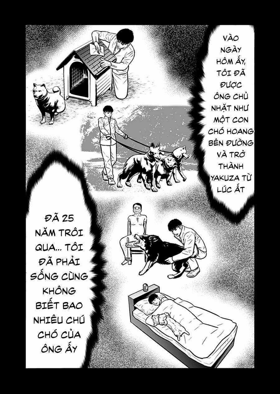 Slave Game - Chapter 87 - Trang 13