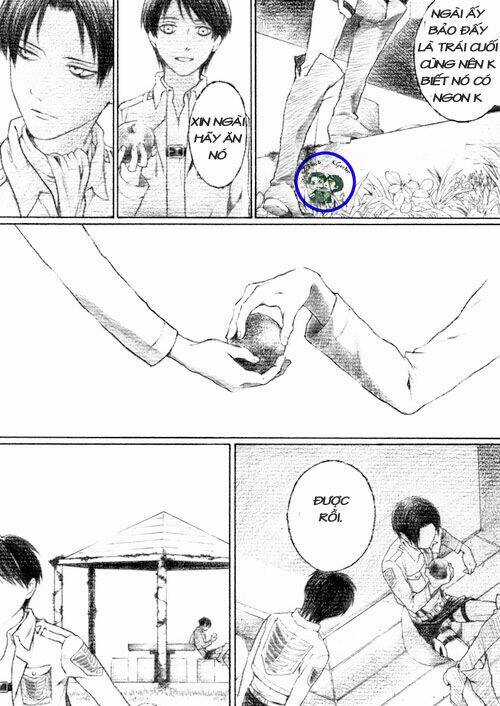 Snk Short Doujinshi - Chapter 37 - Trang 19