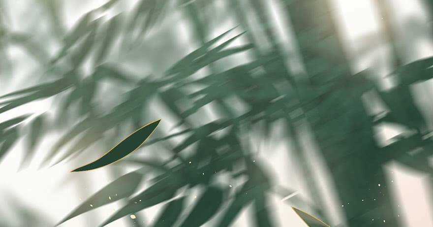 Sở Cung Tứ Thời Ca - Chapter 2 - Trang 101