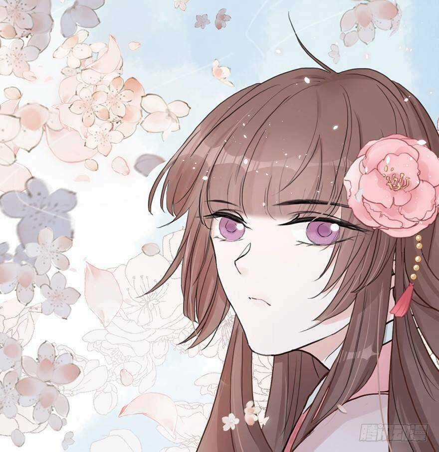 Sở Cung Tứ Thời Ca - Chapter 2 - Trang 50