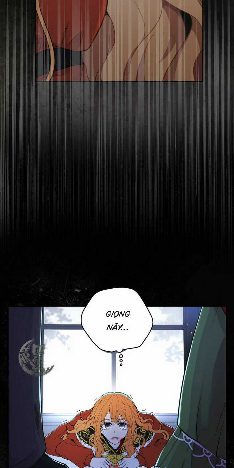 Sóc Nhỏ Tài Năng - Chapter 2 - Trang 34