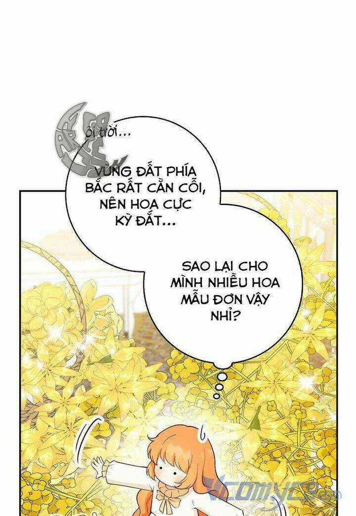 Sóc Nhỏ Tài Năng - Chapter 21 - Trang 11