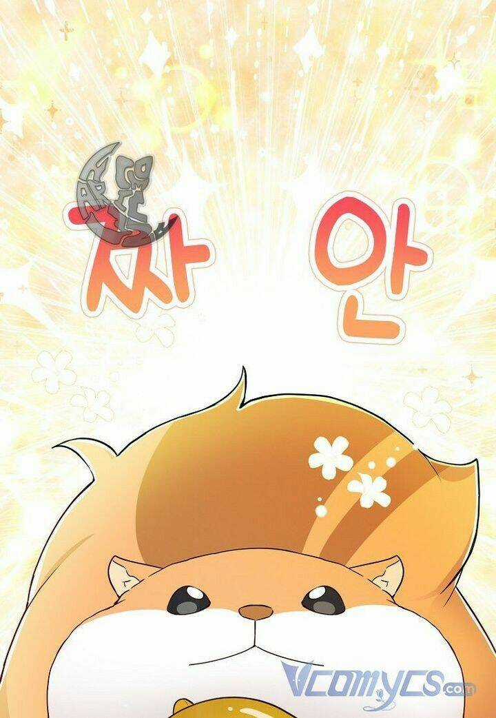 Sóc Nhỏ Tài Năng - Chapter 21 - Trang 14