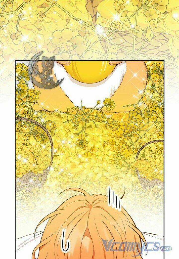 Sóc Nhỏ Tài Năng - Chapter 21 - Trang 8