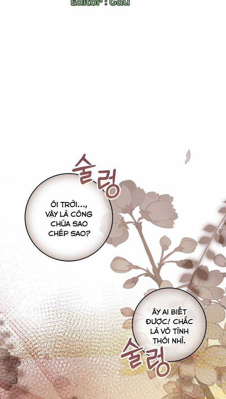 Sóc Nhỏ Tài Năng - Chapter 59 - Trang 3