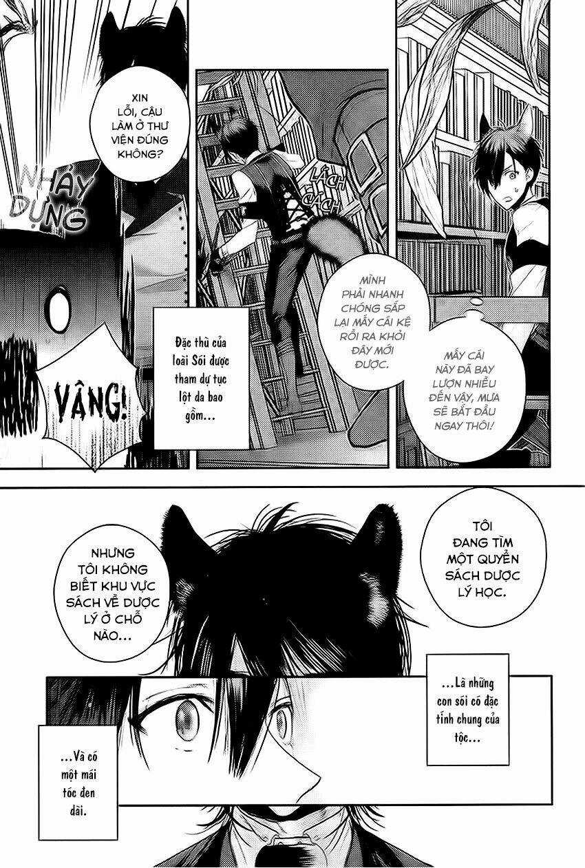 Sói Đen Và Cáo Bạc - Chapter 1 - Trang 11