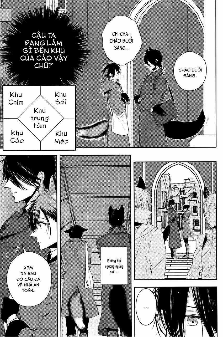 Sói Đen Và Cáo Bạc - Chapter 2 - Trang 15