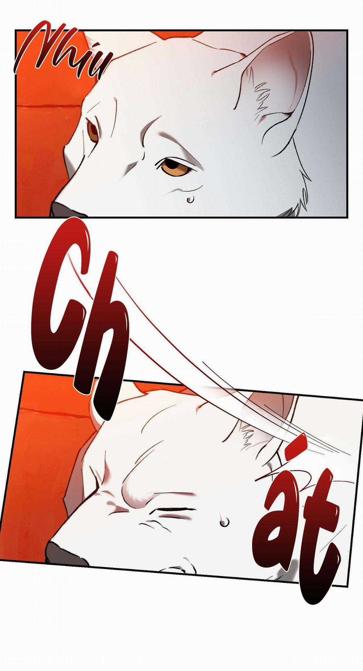Sói Trong Lồng - Chapter 1 - Trang 48