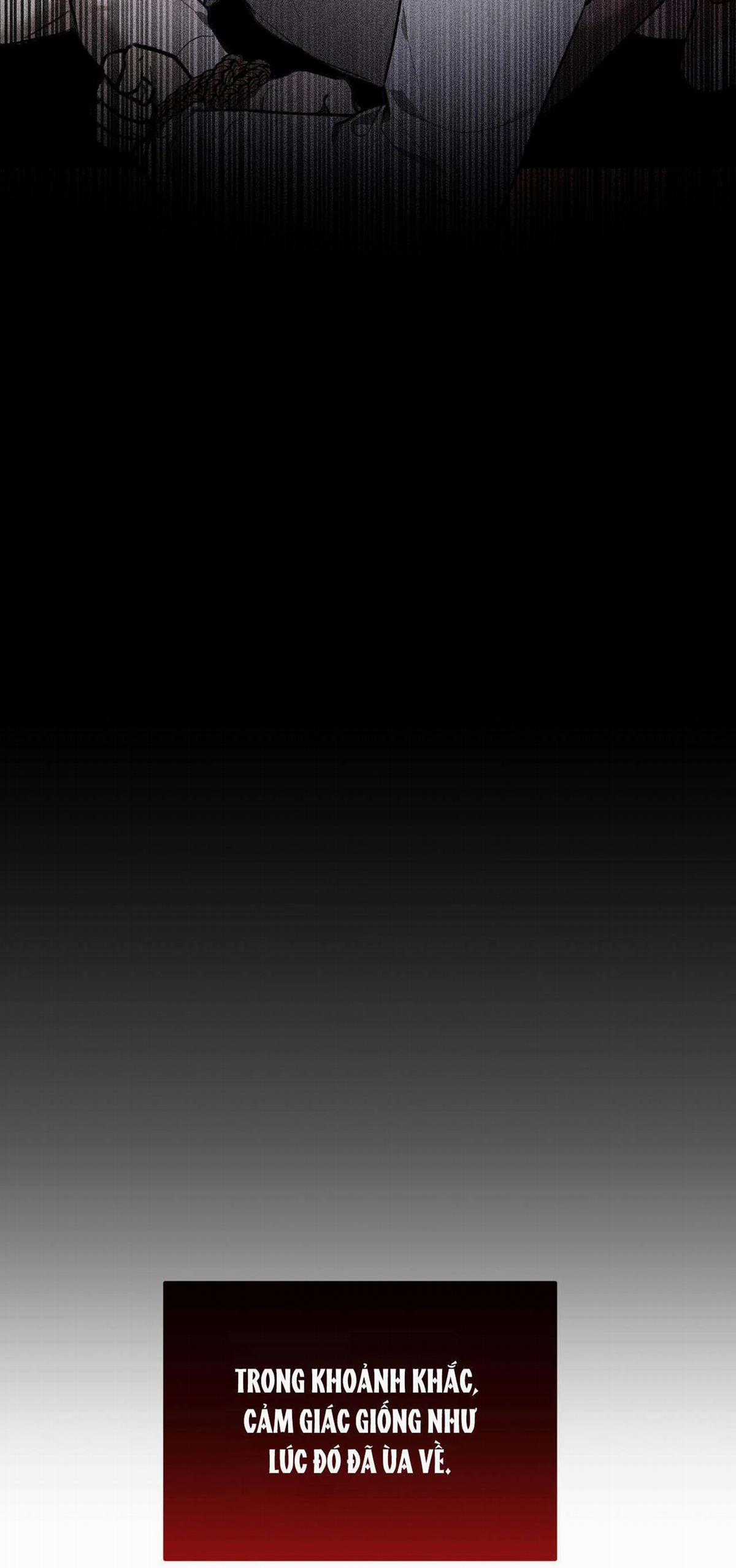 Sói Trong Lồng - Chapter 10 - Trang 52