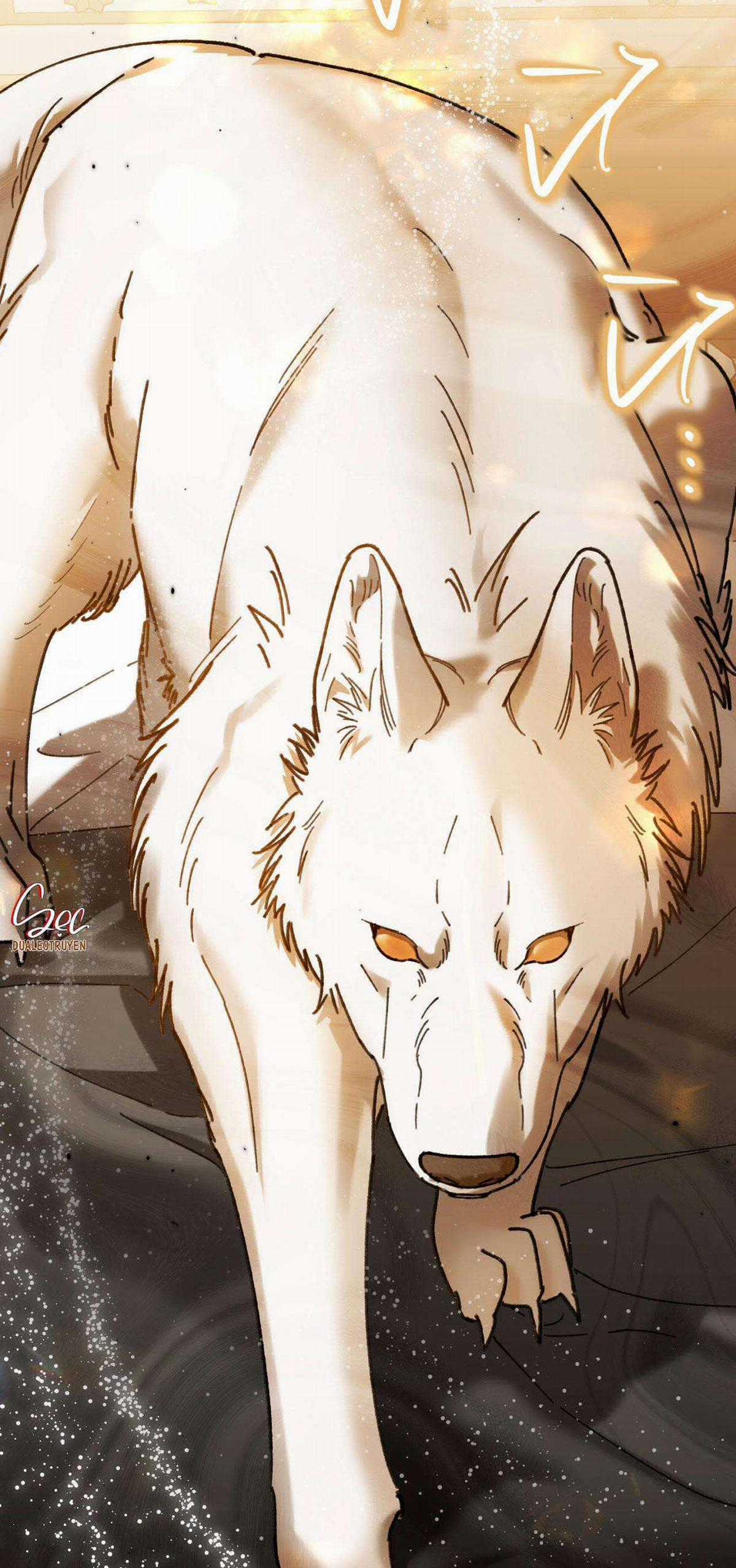 Sói Trong Lồng - Chapter 11 - Trang 75