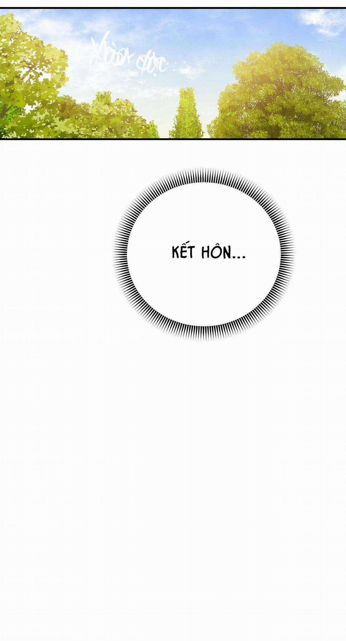 Sói Trong Lồng - Chapter 12 - Trang 13