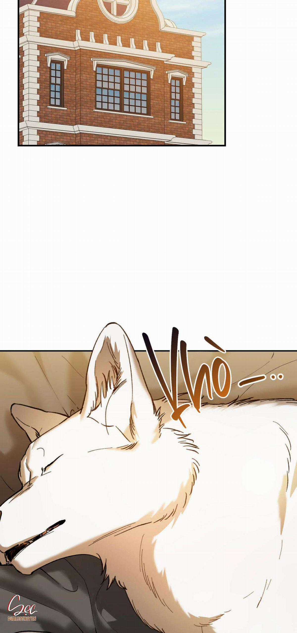 Sói Trong Lồng - Chapter 15 - Trang 41