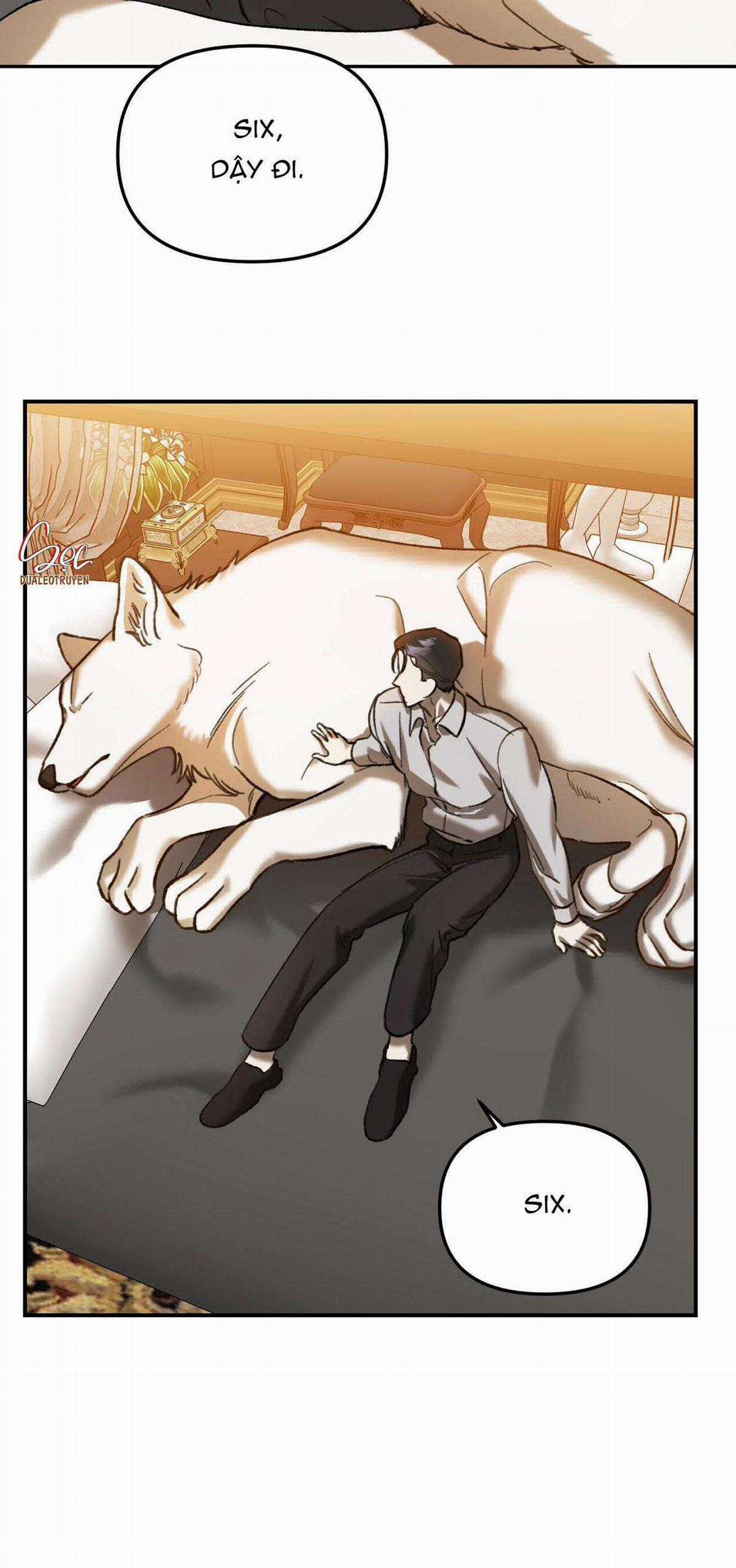 Sói Trong Lồng - Chapter 15 - Trang 42
