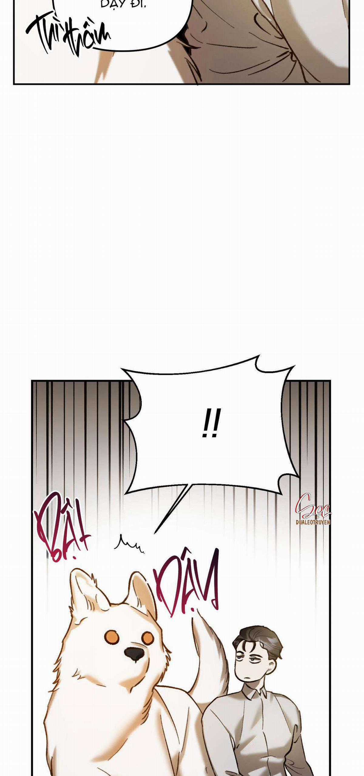 Sói Trong Lồng - Chapter 15 - Trang 44