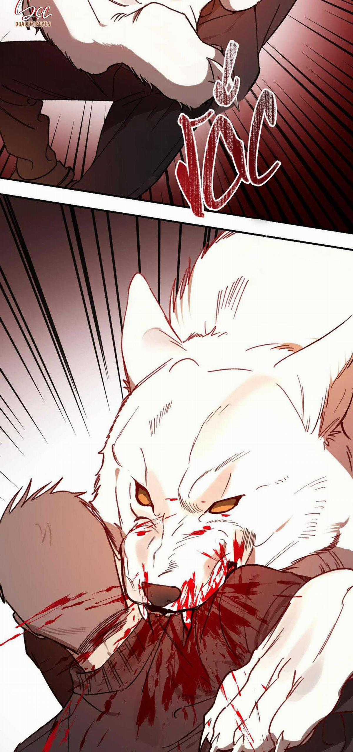 Sói Trong Lồng - Chapter 17 - Trang 47