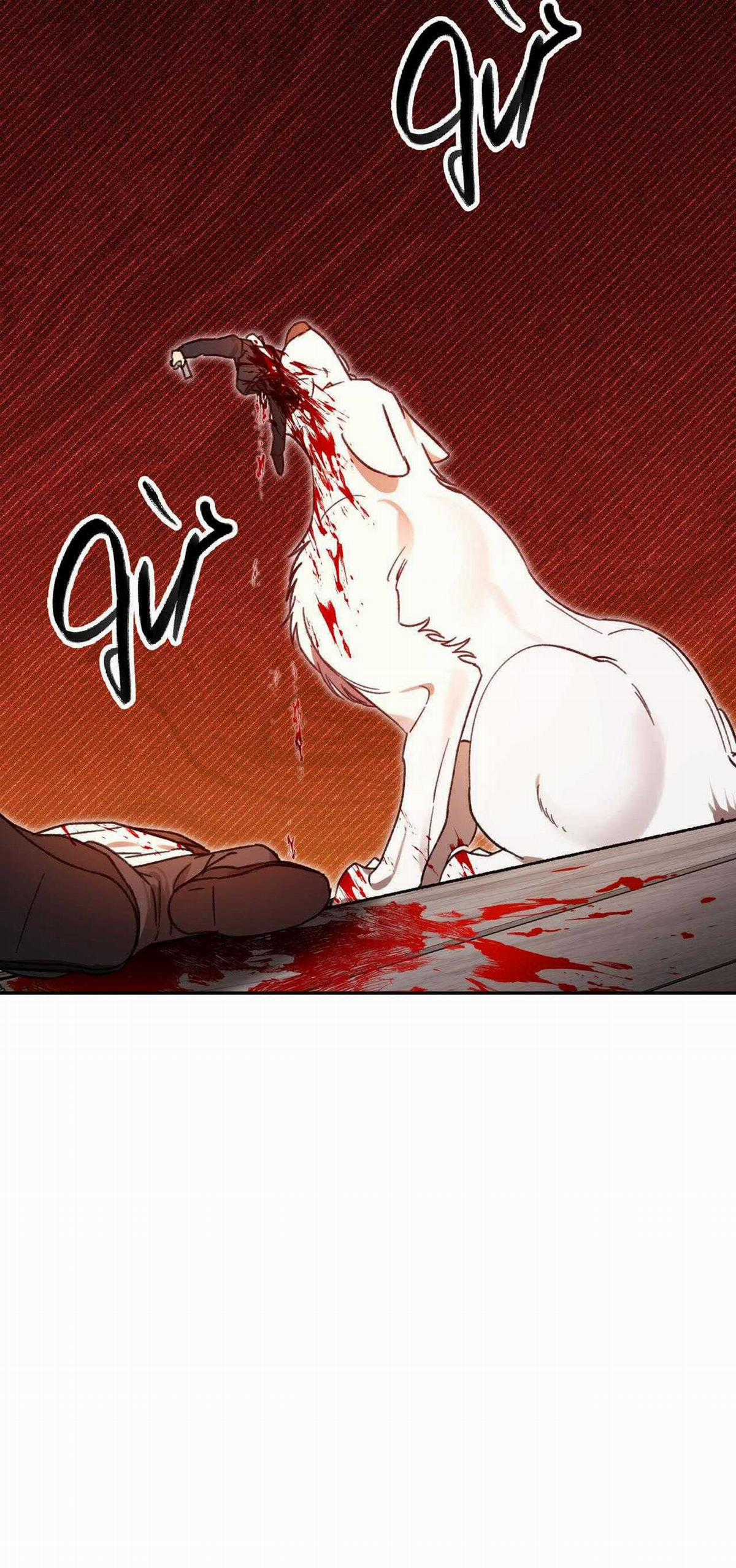 Sói Trong Lồng - Chapter 17 - Trang 59