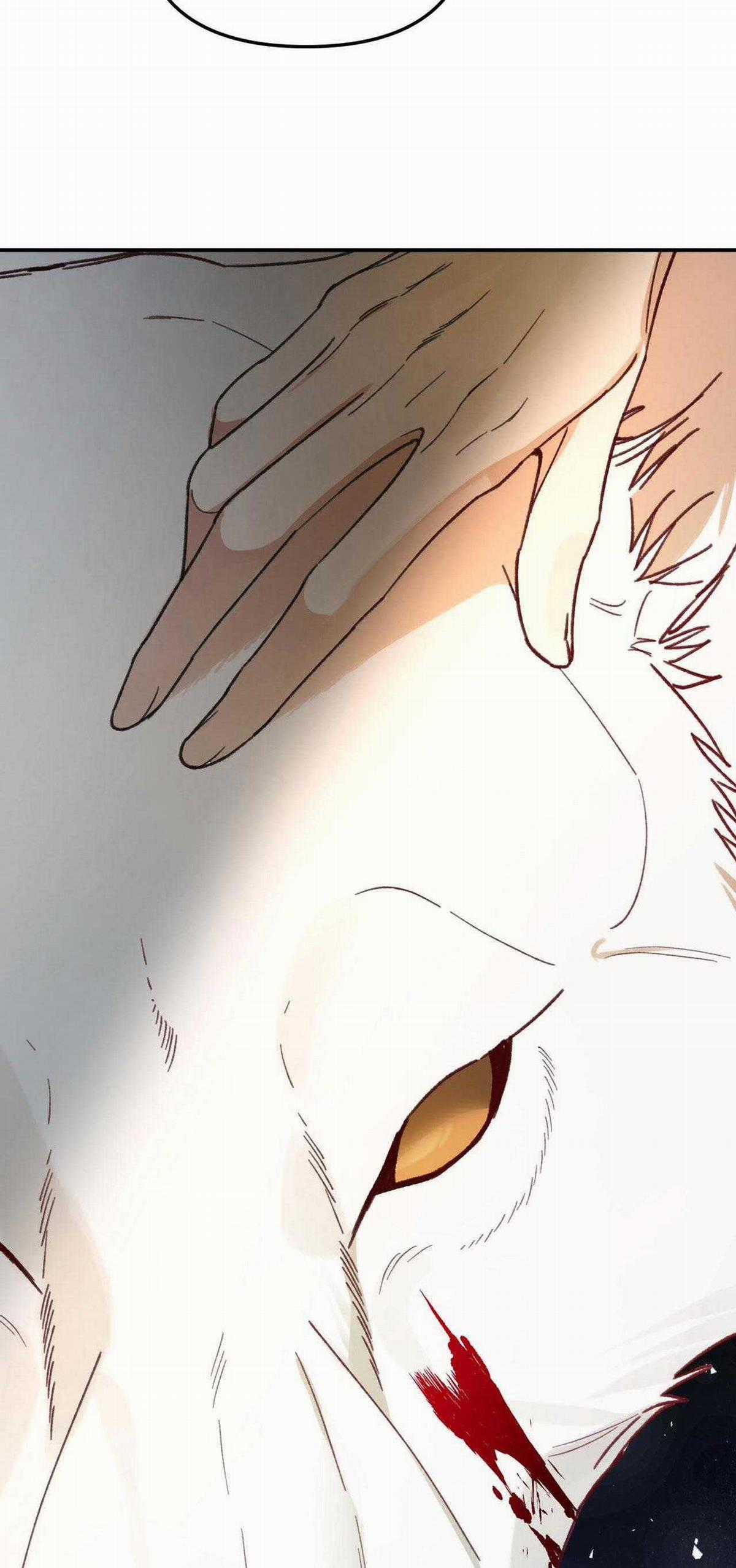 Sói Trong Lồng - Chapter 17 - Trang 64