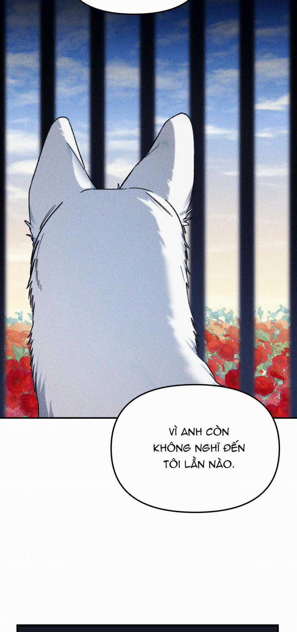 Sói Trong Lồng - Chapter 18 - Trang 50