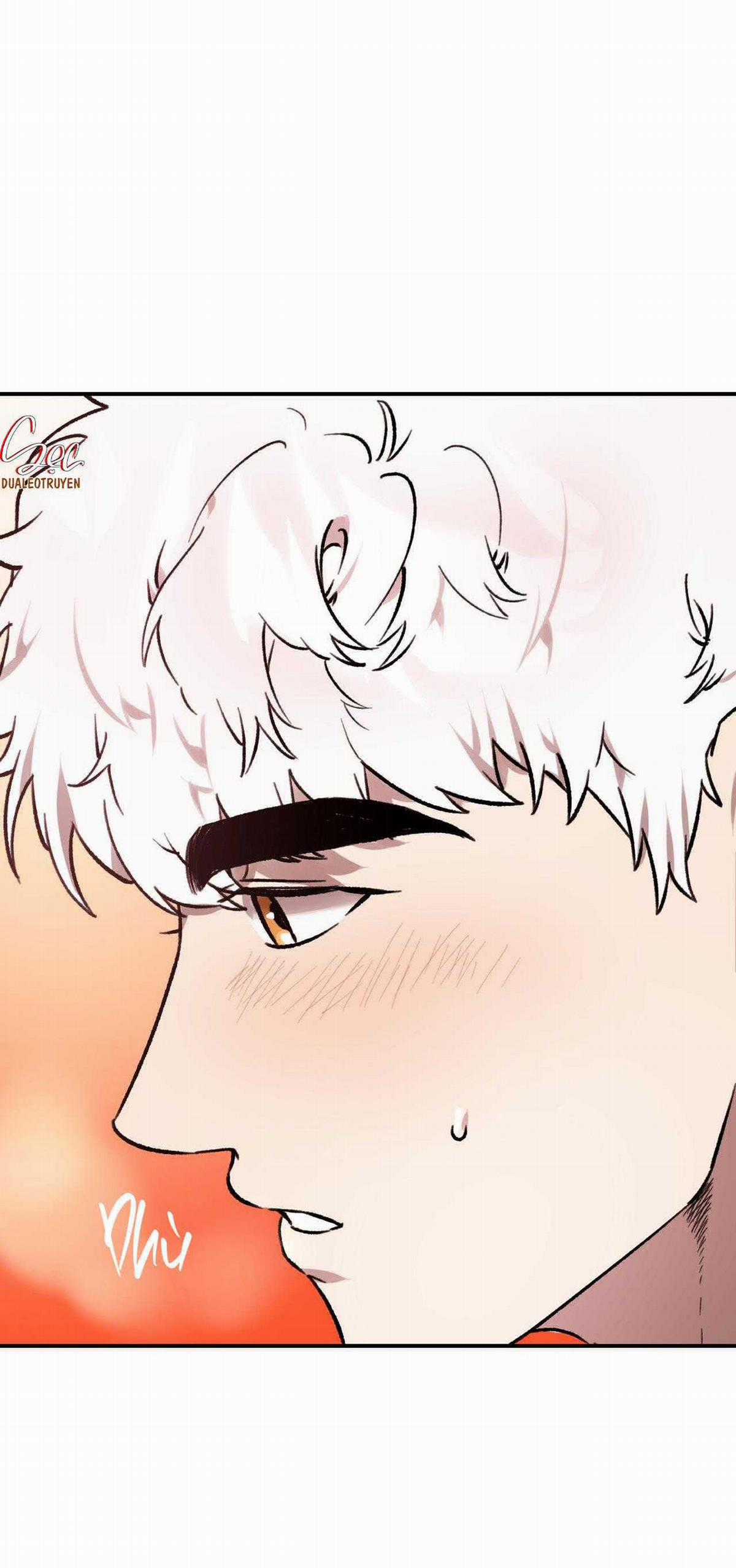 Sói Trong Lồng - Chapter 19 - Trang 11