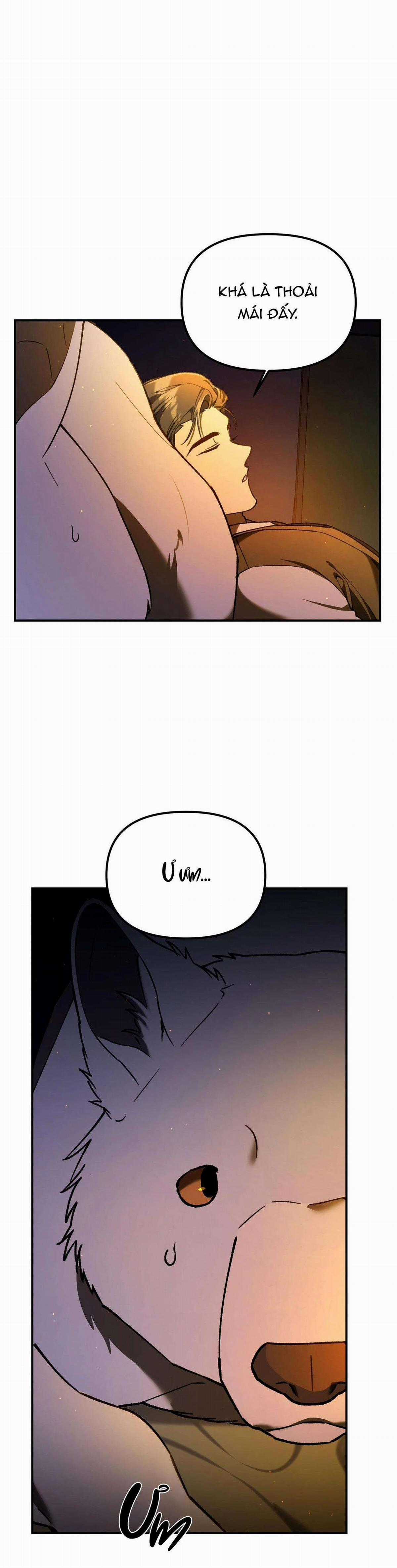 Sói Trong Lồng - Chapter 2 - Trang 23