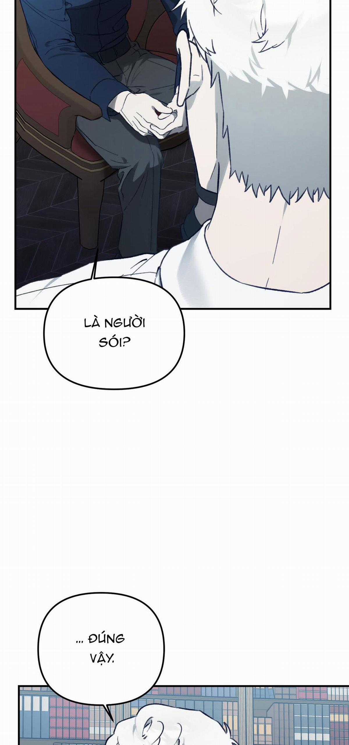 Sói Trong Lồng - Chapter 21 - Trang 41