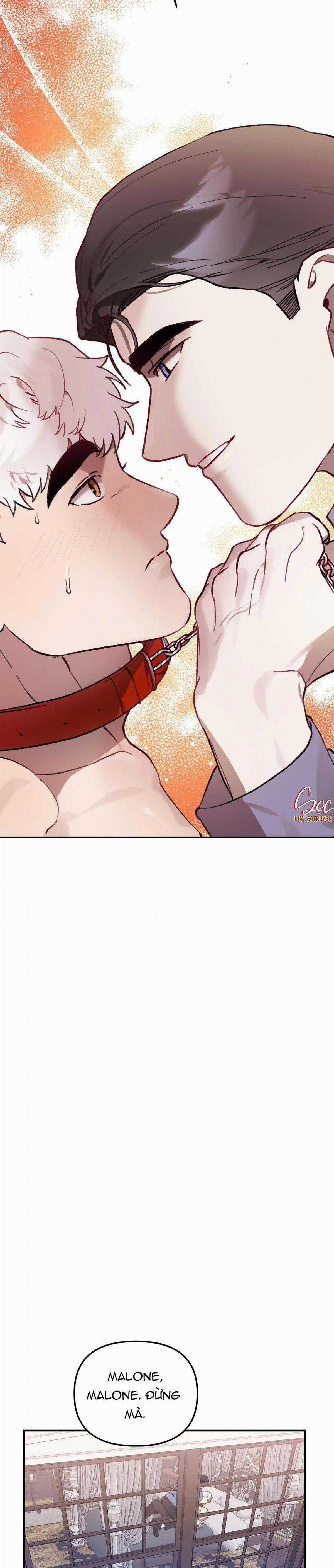 Sói Trong Lồng - Chapter 23 - Trang 11