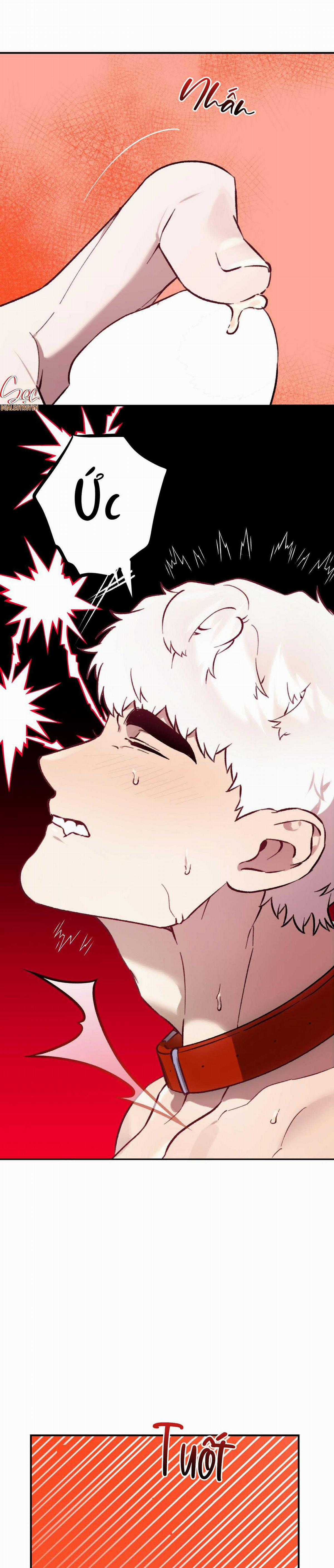 Sói Trong Lồng - Chapter 23 - Trang 17