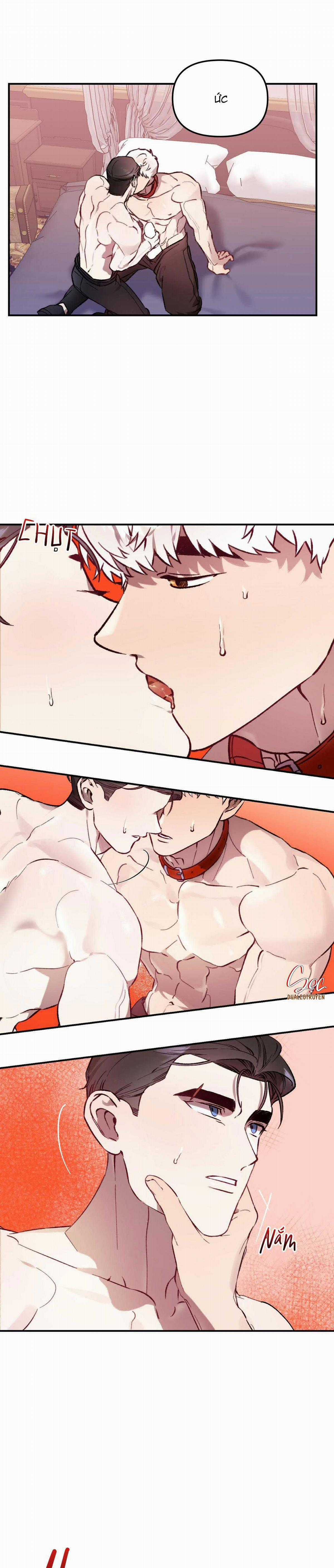 Sói Trong Lồng - Chapter 23 - Trang 19