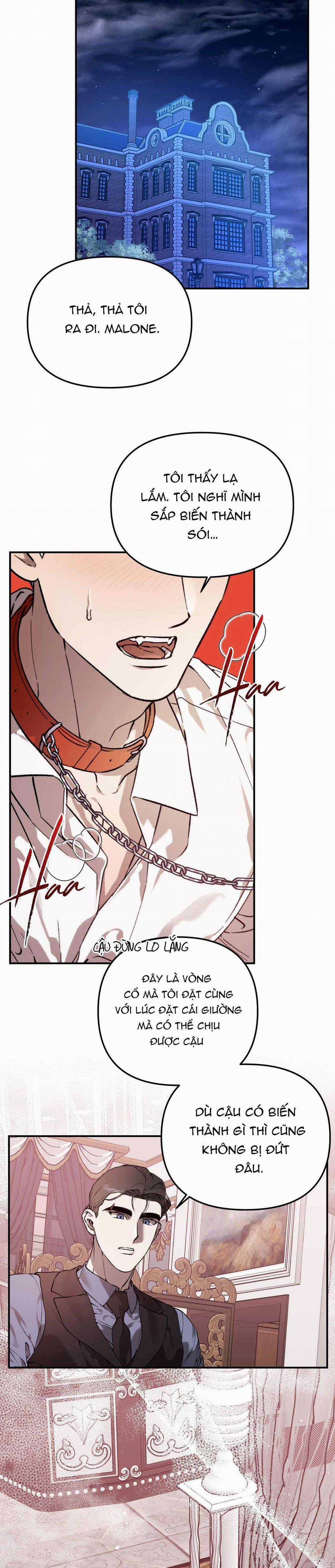 Sói Trong Lồng - Chapter 23 - Trang 5